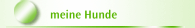 meine Hunde