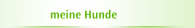 meine Hunde