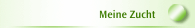 Meine Zucht